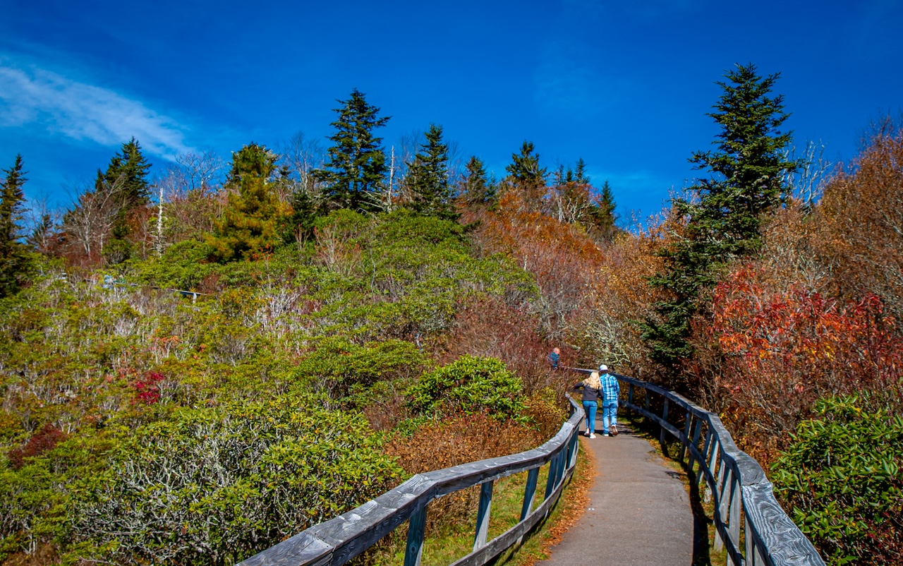 Hiking the Waterrock Knob Trail