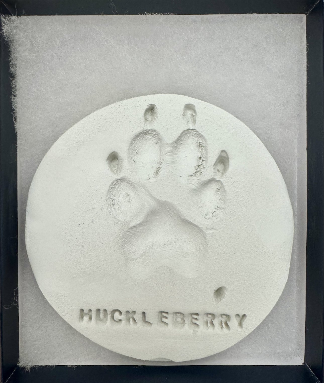 Huckleberry Paw Print