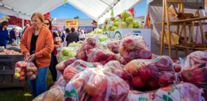 Wooly Worm Festival Apples