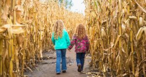 Corn Mazes in North Carolina