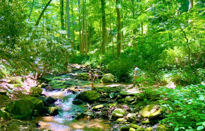 Rock Castle Gorge Creek at Rocky Knob Recreation Area