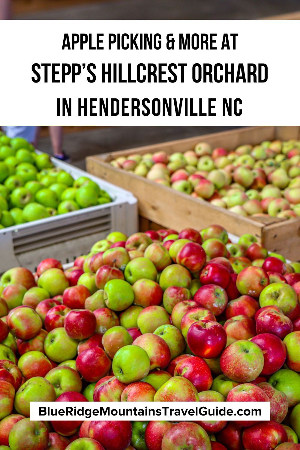Visiting Stepp's Hillcrest Orchard in Hendersonville NC, including apple picking, pumpkins, corn mazes, wagon rides, and more!