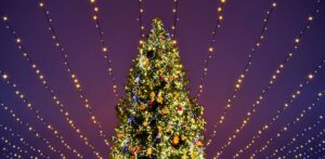 WNC Christmas Celebrations Thanksgiving Weekend