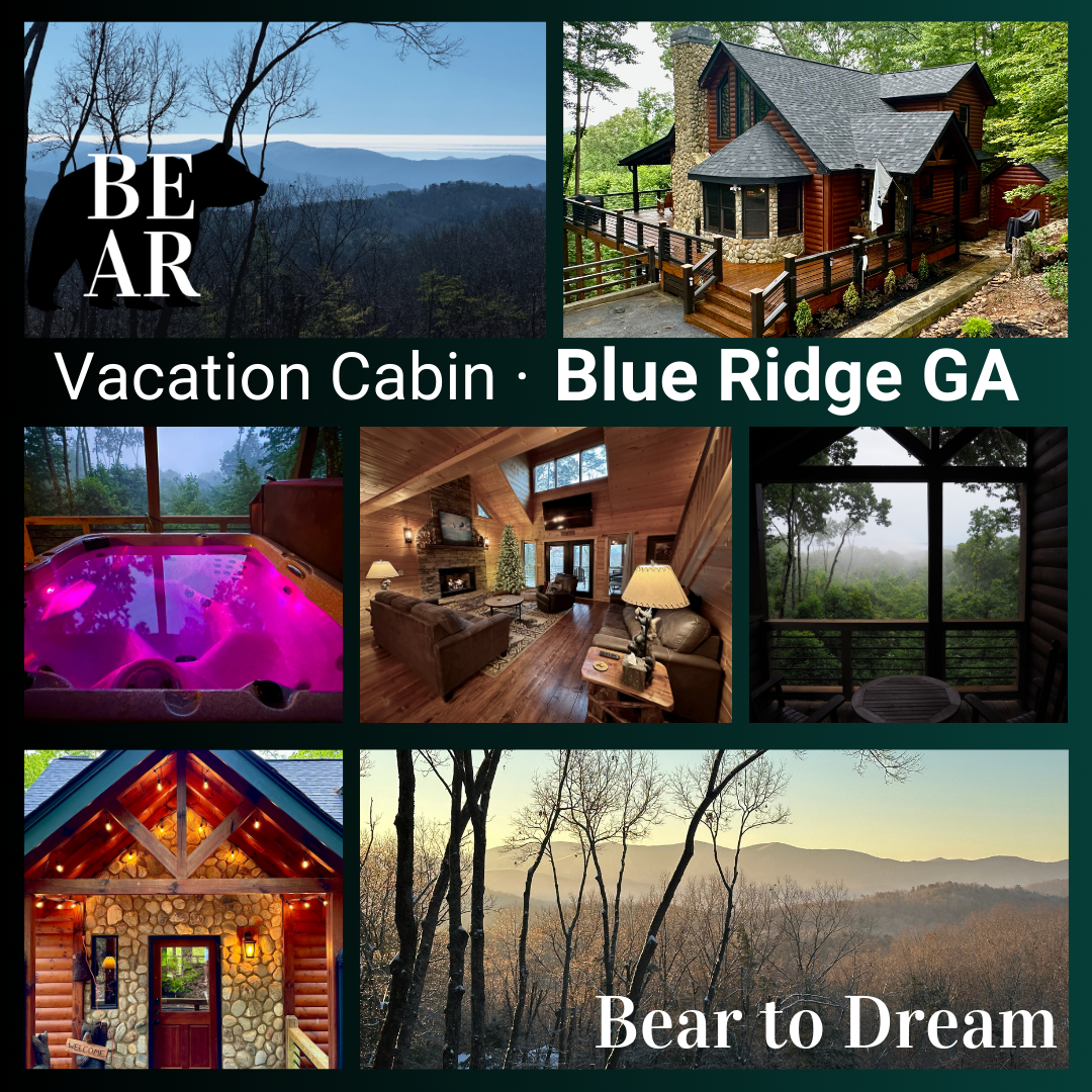 Bear to Dream Landing Page Banner Ad