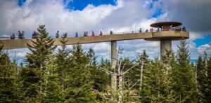Clingmans Dome/Kuwohi in Great Smoky Mountains National Park
