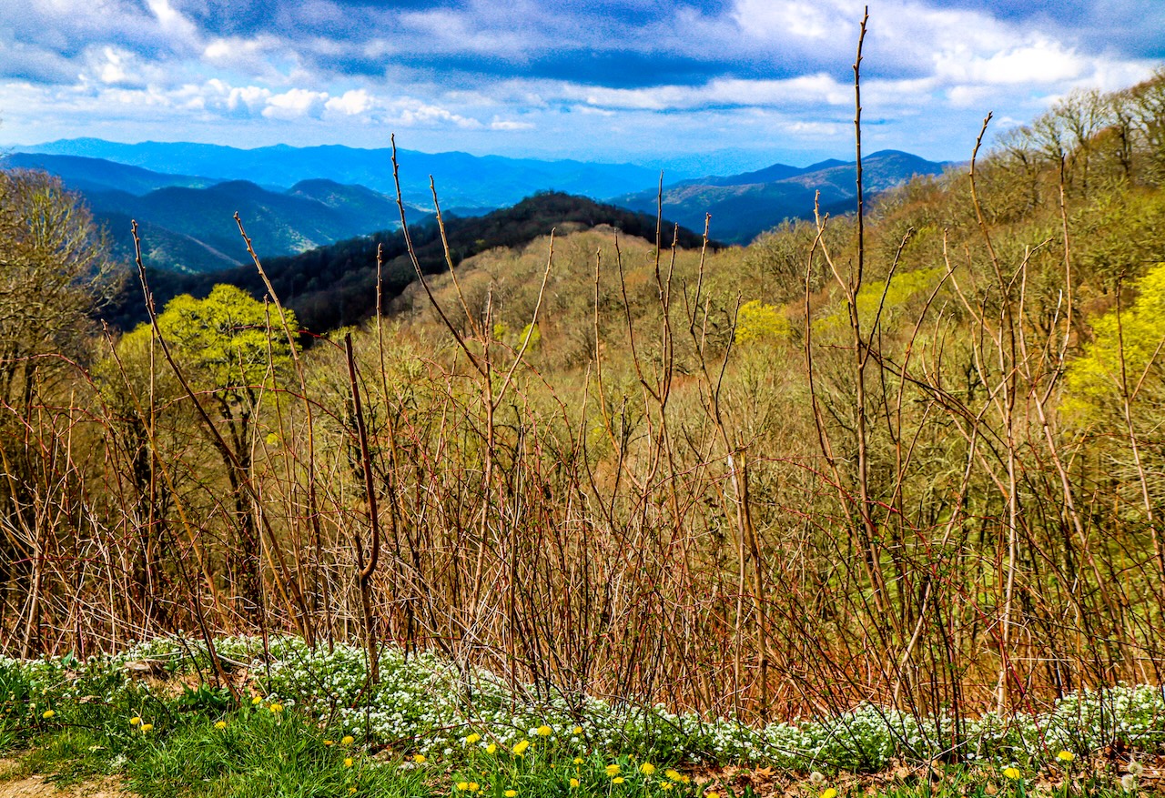 Visiting Kuwohi (& Why They Changed Clingmans Dome's Name)