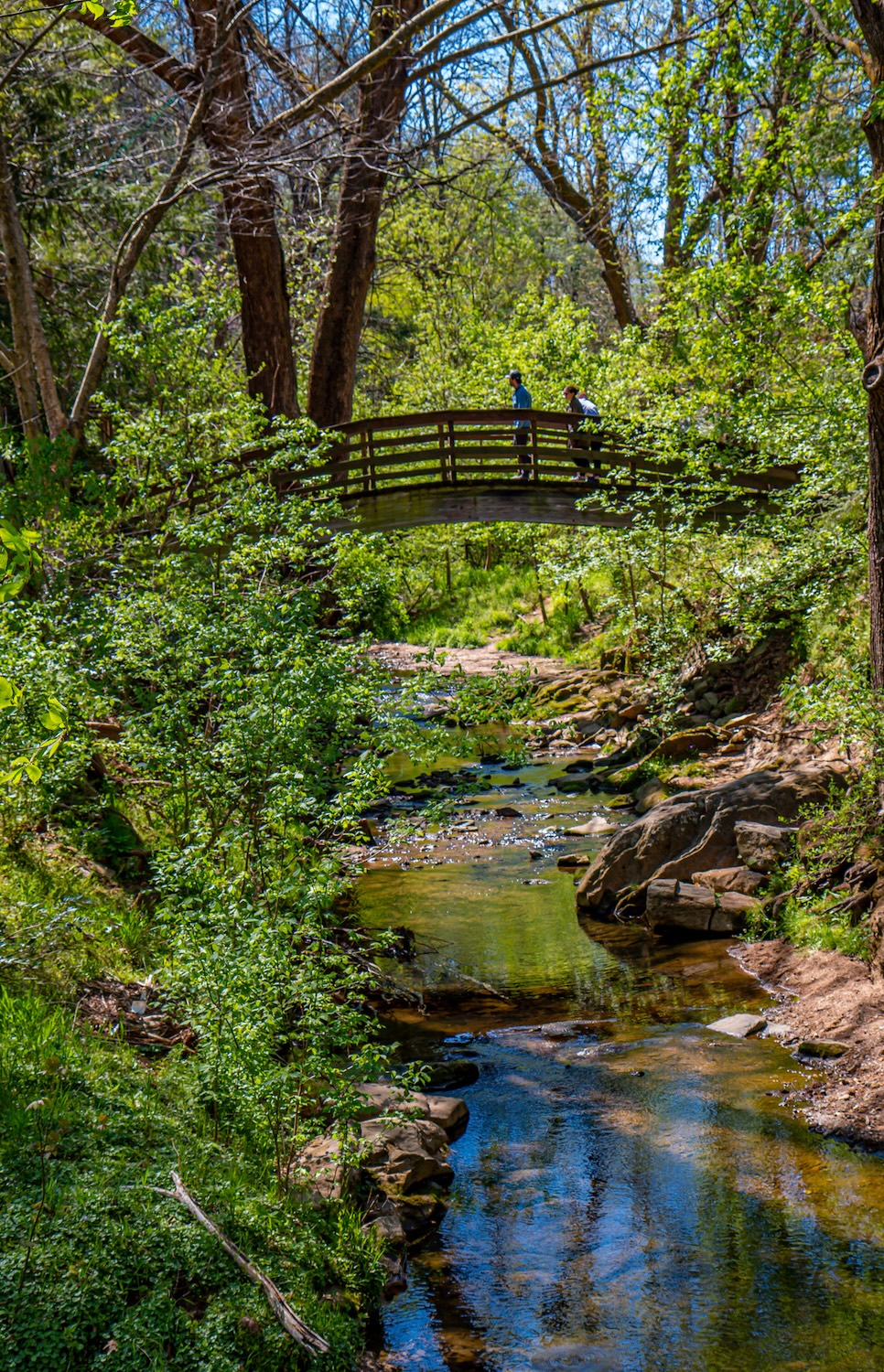 Bridge over creek at Asheville Botanical Gardens in Asheville NC
