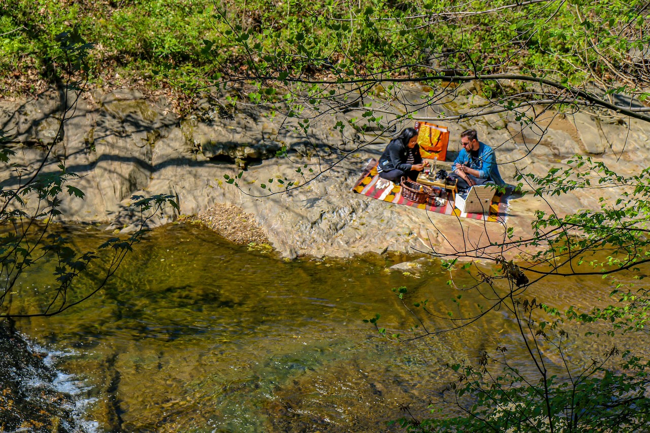 Couple enjoying a picnic at Asheville Botanical Garden in Asheville NC