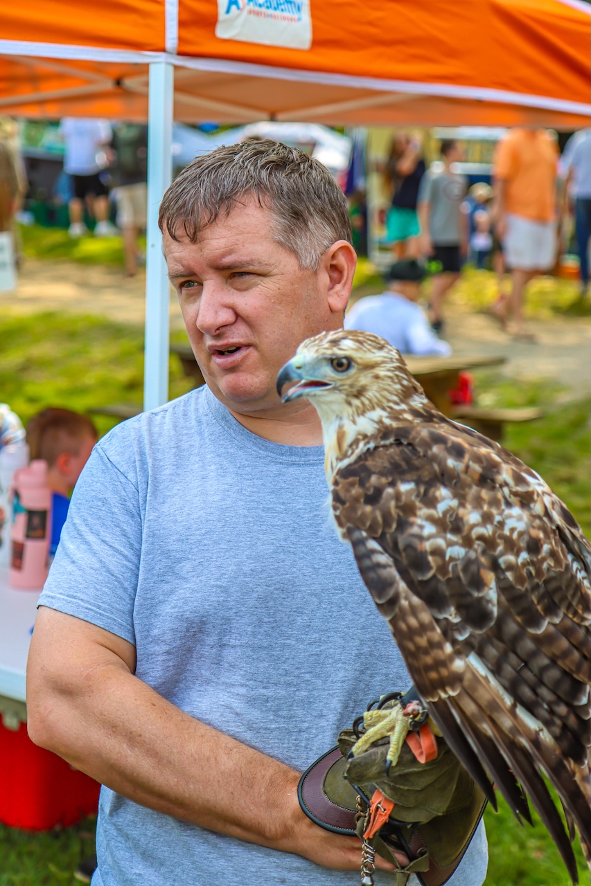Birds of Prey at Georgia Mountain Scottish Festival in Hiawassee GA