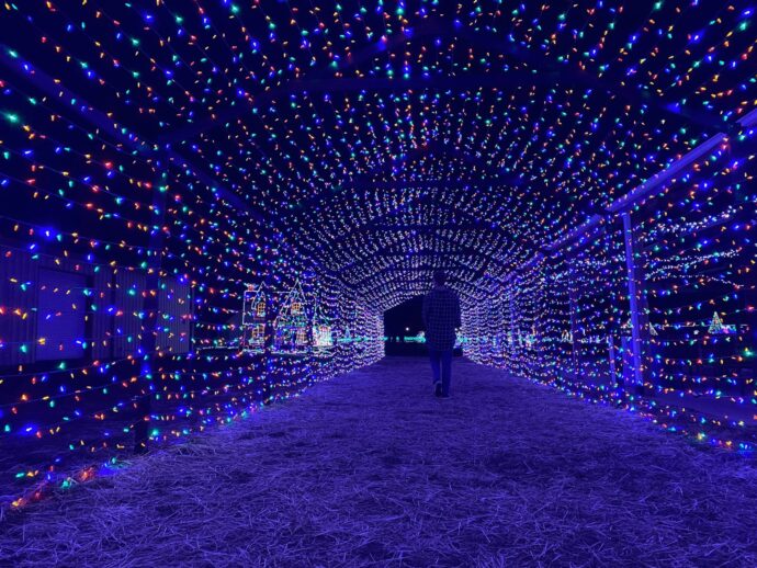 Holiday Lights of Ellijay 