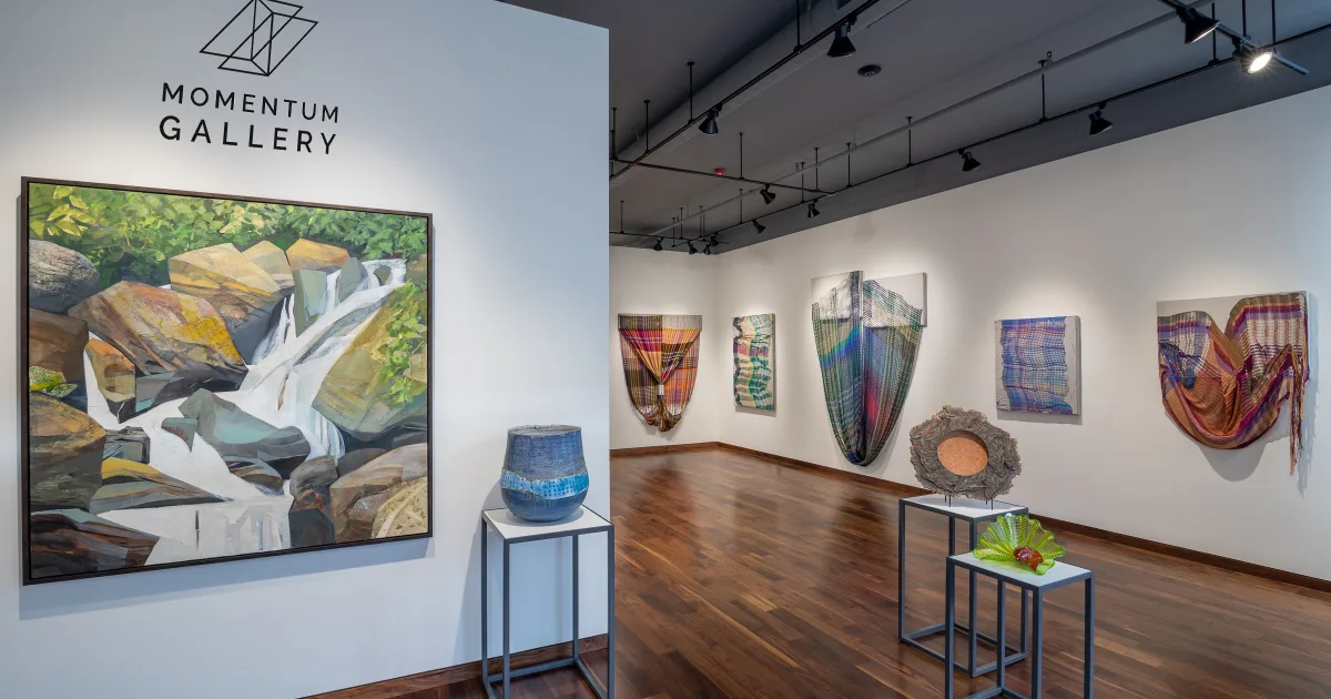 Momentum Gallery in Asheville NC